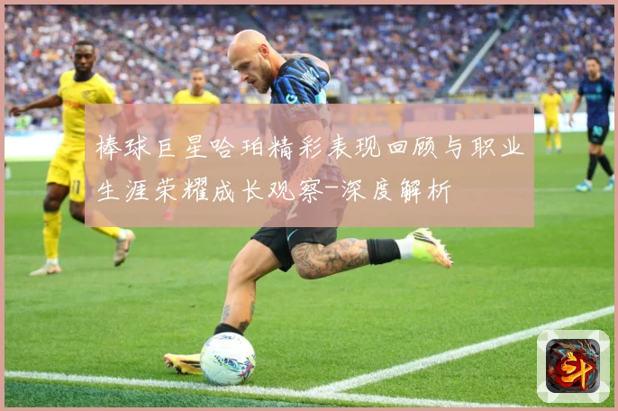 棒球巨星哈珀精彩表现回顾与职业生涯荣耀成长观察-深度解析
